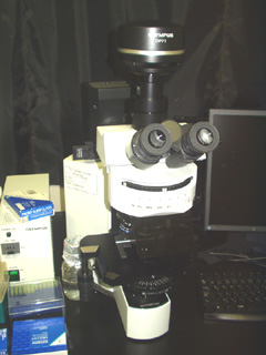 Microscope 2